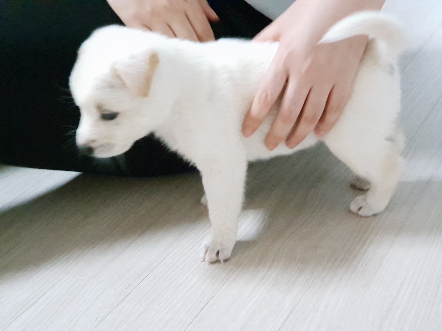 KakaoTalk_20180715_203747280.jpg